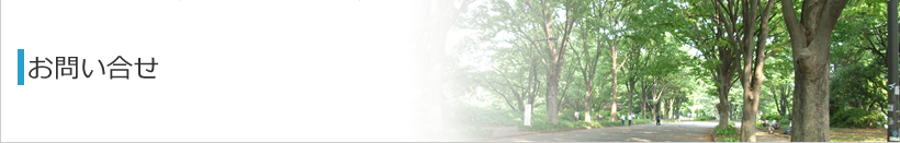 ���₢����